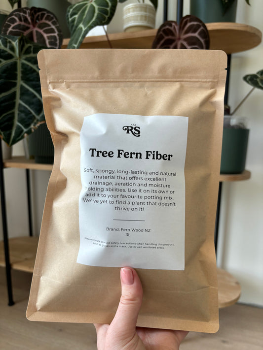 Tree Fern Fiber (NZ)