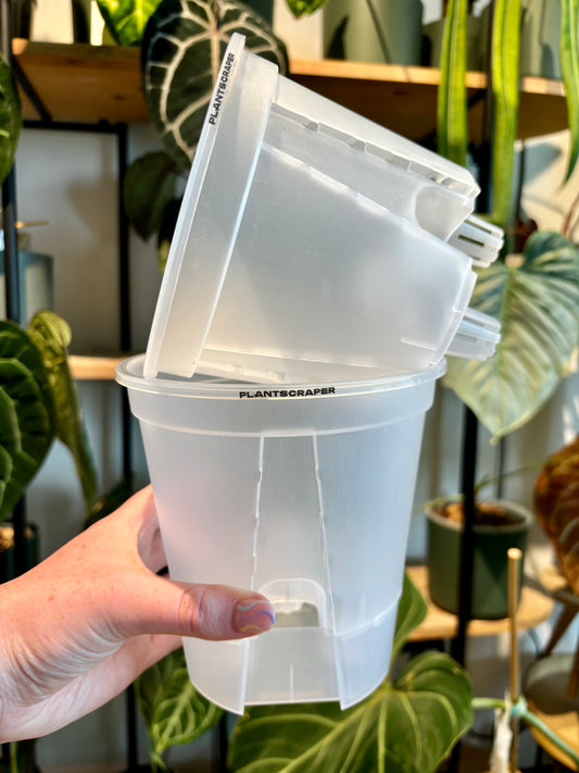 Clear Self Watering Pot