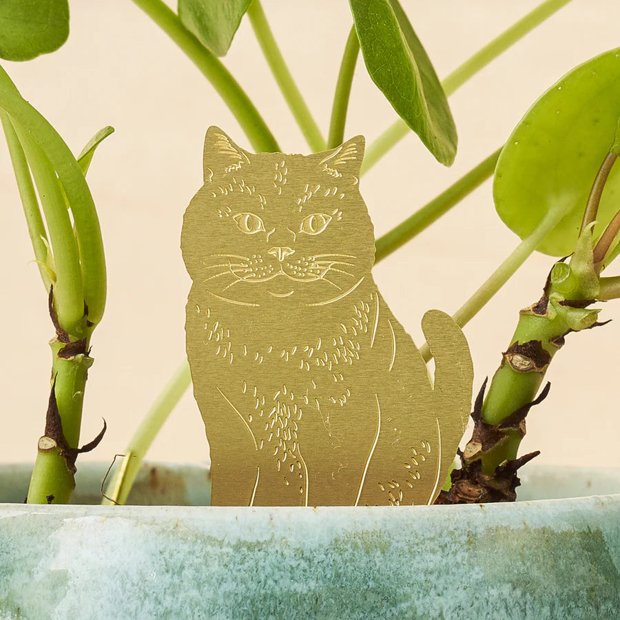 Plant Animal - Cat