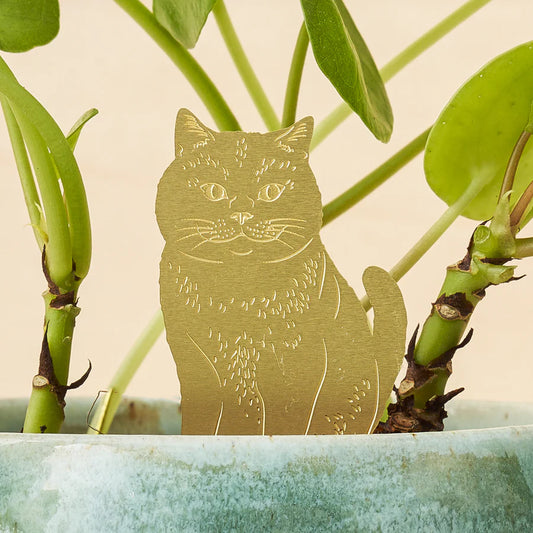 Plant Animal - Kat