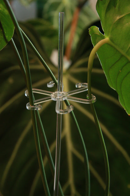 Plant Hooks