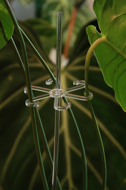 Plant Hooks