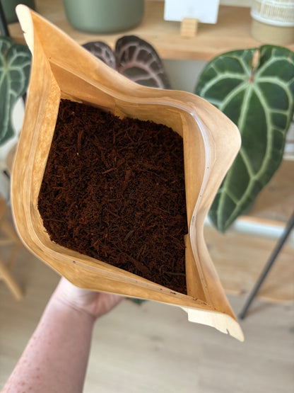 Tree Fern Fiber (NZ)